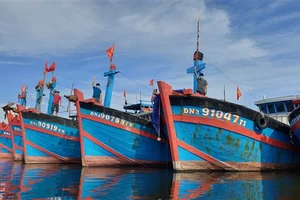 Ba cha con ngư dân Nguyễn Văn Hoàng trên 3 tàu cá có công suất “khủng” chuyên bám ngư trường Hoàng Sa.