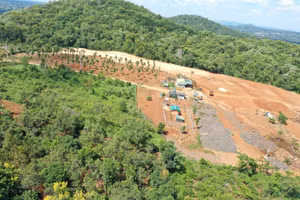 Khu vực đất nông lâm nghiệp ông Diễn đang san ủi.