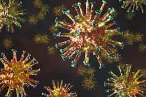 Ảnh minh họa/INT