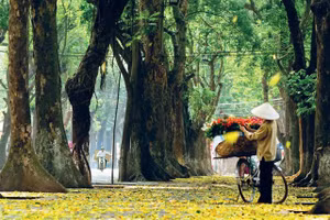 Ảnh minh họa/INT