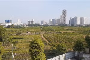 Hà Nội xử lý nghiêm các trường hợp môi giới, mua bán bất động sản, buông lỏng vi phạm về quản lý đất đai.