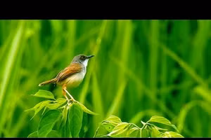 Ảnh minh họa/INT.