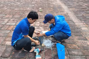 Thay mới hệ thống cụm đèn tại Kỳ đài Kinh thành Huế bị đập phá.