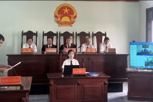 Phiên tòa xét xử sơ thẩm bằng hình thức trực tuyến (Ảnh: T.B).