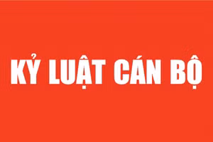 Bộ Chính trị, Ban Bí thư xem xét, thi hành kỷ luật tổ chức đảng, đảng viên