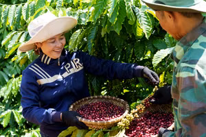 Thúc đẩy sáng kiến giảm phát thải trong chuỗi cung ứng