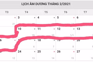 Theo tờ trình, công chức, viên chức nghỉ Tết Âm lịch 7 ngày liên tục, từ ngày 10/2/2021 đến ngày 16/2/2021 Dương lịch 