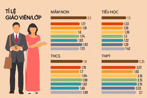 Tỷ lệ giáo viên đạt chuẩn trình độ đào tạo 