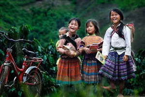 Ảnh minh họa/internet.