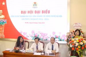 TS Đặng Hoàng Anh – Phó Chủ tịch Công đoàn Giáo dục Việt Nam phát biểu tại Đại hội.