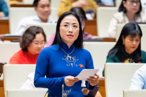 Đại biểu Trần Khánh Thu (Đoàn ĐBQH tỉnh Thái Bình) phát biểu thảo luận tại hội trường, chiều 31/10. 