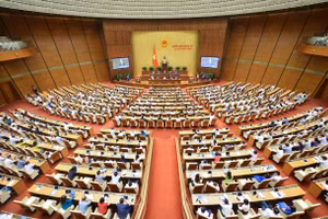 Xử lý nhiều 'công ty ma' lừa lao động Việt Nam sang nước ngoài