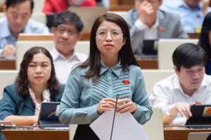 Đại biểu Nguyễn Thị Hà (Đoàn Bắc Ninh) phát biểu tại hội trường Quốc hội sáng 23/11.
