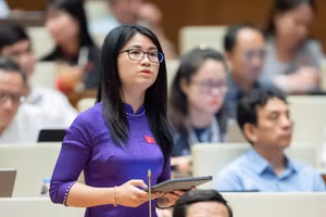 Đại biểu Đinh Thị Ngọc Dung (đoàn đại biểu Quốc hội Hải Dương) phát biểu tại hội trường ngày 31/5.