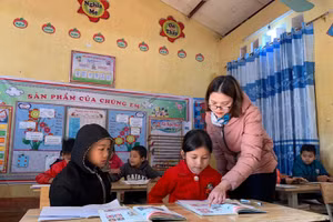 Bỏ quy định giáo viên phải có chứng chỉ bồi dưỡng theo tiêu chuẩn CDNN theo hạng. Ảnh minh họa/internet.