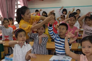 Giáo viên tuyển dụng mới phải có chứng chỉ bồi dưỡng theo tiêu chuẩn chức danh nghề nghiệp theo quy định trong thời gian thực hiện chế độ tập sự. 