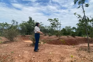 PGS.TS Trần Thị Thu Hà khi đi thực tế.