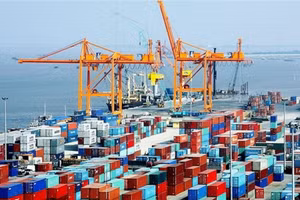 Ảnh minh họa/internet.