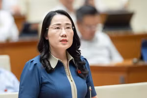 Đại biểu Nguyễn Thị Thủy (Đoàn ĐBQH tỉnh Bắc Kạn) thảo luận tại hội trường sáng 31/5.