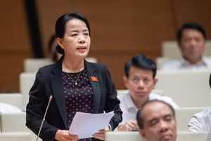 Đại biểu Quốc hội Nguyễn Thị Kim Thúy phát biểu tại hội trường Quốc hội - chiều 23/5.