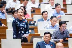 Đại biểu Nguyễn Thị Thu Dung tranh luận về vấn đề học phí.