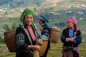 Ảnh có tính chất minh họa/internet.