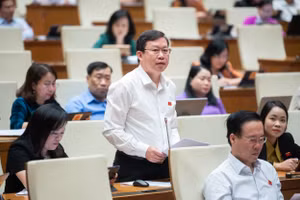 Đại biểu Nguyễn Quốc Luận.