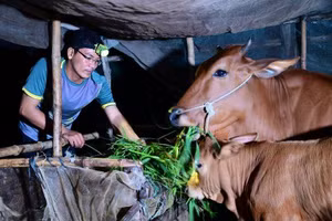 Nhiều đối tượng đã được trợ giúp bằng cách cho vay vốn, hướng dẫn cách làm ăn. Ảnh minh hoạ.