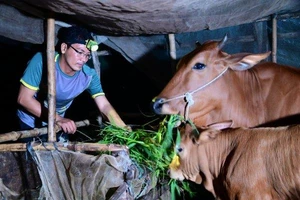 Nhiều đối tượng đã được trợ giúp bằng cách cho vay vốn, hướng dẫn cách làm ăn. Ảnh minh hoạ.