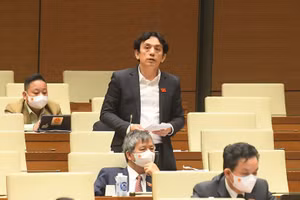 Đại biểu Trần Việt Anh - TP Hà Nội.