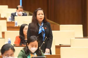 Đại biểu Vũ Thị Lưu Mai (đoàn TP Hà Nội). Ảnh: Quang Khánh.