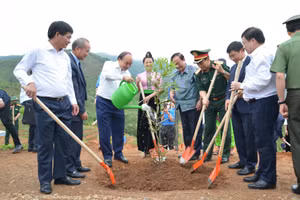 Chủ tịch nước Nguyễn Xuân Phúc cùng các đại biểu trồng cây hưởng ứng tại Lễ phát động.