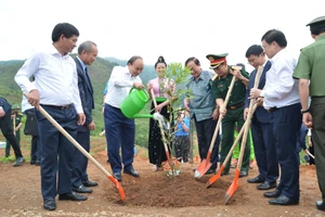 Chủ tịch nước Nguyễn Xuân Phúc cùng các đại biểu trồng cây hưởng ứng tại Lễ phát động.