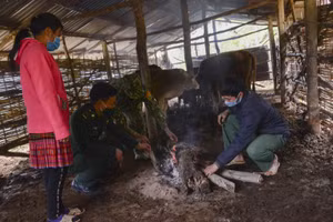 Bộ đội biên phòng hướng dẫn người dân sưởi ấm cho gia súc.