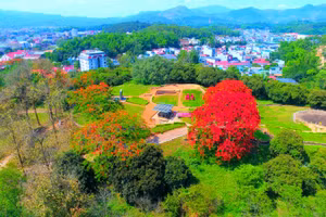 Những ngày tháng 5 lịch sử, Chiến trường Điện Biên Phủ lại rực rỡ sắc màu.