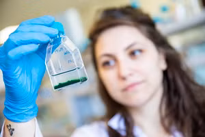 29 học bổng từ 6 trường đại học Vương quốc Anh, sẽ hỗ trợ các nữ sinh đến từ 8 quốc gia tại khu vực Đông Á.