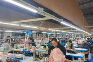 Thanh Hóa hiện có khoảng hơn 20.000 doanh nghiệp đang hoạt động với tổng số lao động đang làm việc khoảng 390.000 người.