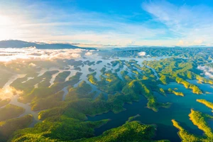 Hồ Tà Đùng - Vịnh Hạ Long trên cạn ở Đắk Nông.