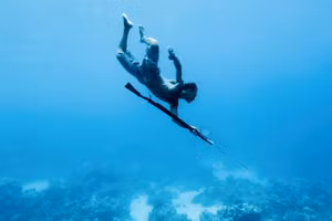Người Bajau có thể lặn sâu xuống nước mà không cần thiết bị bảo hộ.