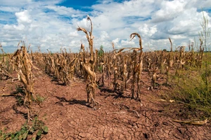 El Nino khiến Trái đất nóng kỷ lục.