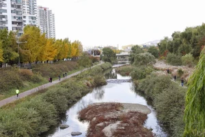 Anyang là thành phố nhỏ nằm ở tỉnh Gyeonggi-do, Hàn Quốc.