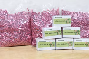 Mẫu viên nang điều trị mất ngủ có thành phần từ dược liệu: Xấu hổ, vông nem, hậu phác nam và cam thảo nam.