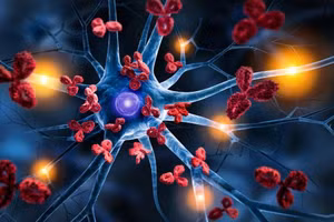 Biến thể rủi ro có tên ApoE4 làm tăng nguy cơ phát triển bệnh Alzheimer, nhưng có thể làm tăng khả năng sinh sản ở phụ nữ.