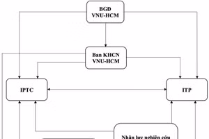 Mô hình tổ chức quản trị tài sản trí tuệ tại ĐHQG TPHCM.