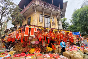 Đồ trang trí Tết năm nay đa dạng, phong phú với nhiều mẫu mã mới đẹp, ấn tượng, bắt mắt, giá cả phải chăng. Đặc biệt là các sản phẩm trang trí hình rồng luôn thu hút sự quan tâm của mọi người.