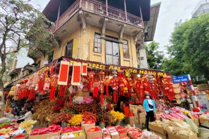 Đồ trang trí Tết năm nay đa dạng, phong phú với nhiều mẫu mã mới đẹp, ấn tượng, bắt mắt, giá cả phải chăng. Đặc biệt là các sản phẩm trang trí hình rồng luôn thu hút sự quan tâm của mọi người.