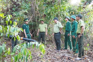 Hạt Kiểm lâm rừng cụm đảo Hòn Khoai phối hợp Đồn Biên phòng tuần tra bảo vệ rừng có nguy cơ cháy cao.