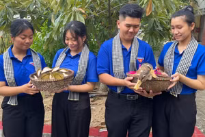 Nhóm tác giả nghiên cứu bột vỏ sầu riêng làm thức ăn cho vịt giúp nâng cao năng suất và chất lượng vật nuôi.