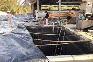 Hầm biogas nơi 3 người tại Đồng Nai gặp nạn. 