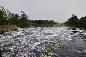 Lưu vực sông Nhuệ - Đáy ô nhiễm nhiều năm mà chưa có giải pháp xử lý.